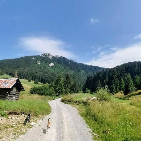 Drevenica Harmony Villa Ruzomberok Luaran gambar