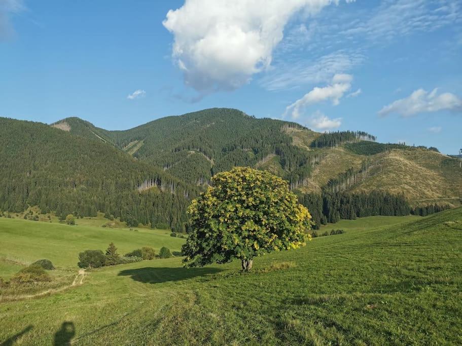 Drevenica Harmony Villa Ruzomberok Luaran gambar