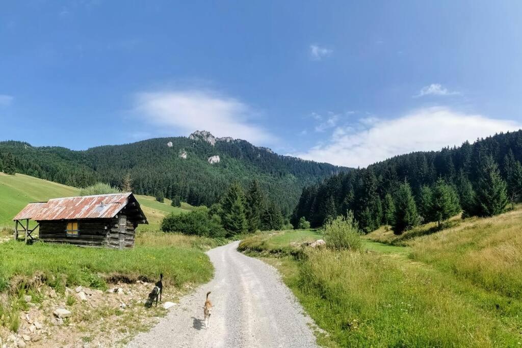 Drevenica Harmony Villa Ruzomberok Luaran gambar